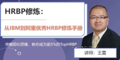 老雷 HRBP修炼-从IBM到阿里，优秀HRBP是如何炼成的（王雷）【网盘资源】